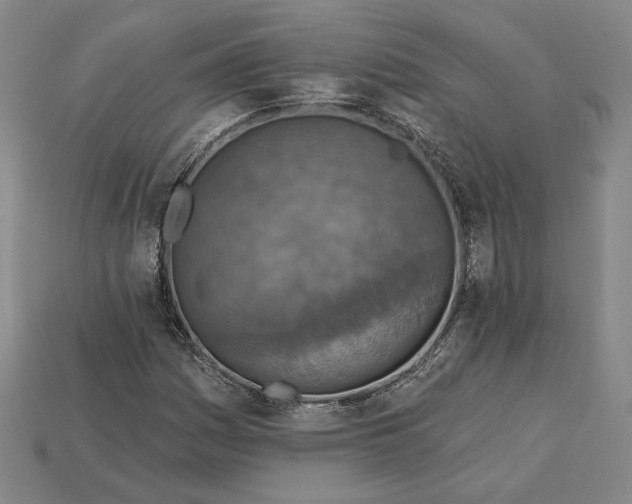 X0000115231161200911131638