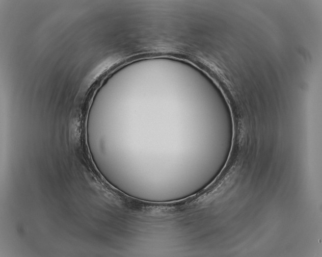 X0000115231163200911131638