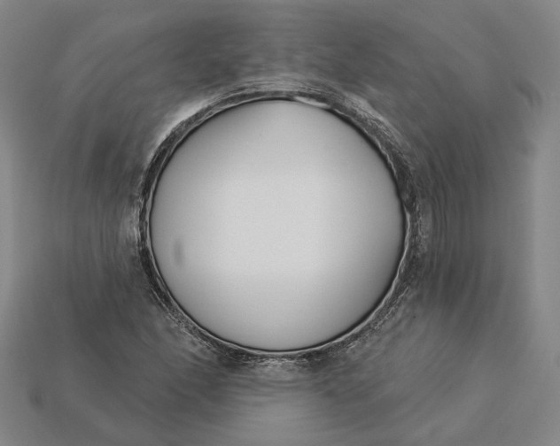 X0000115231166200911131637