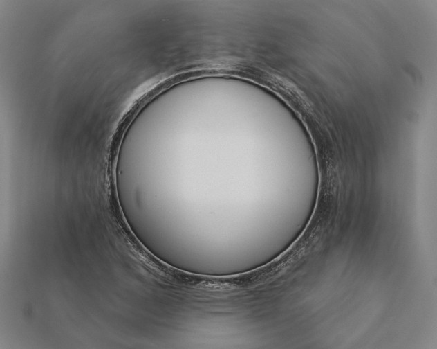X0000115231168200911131637