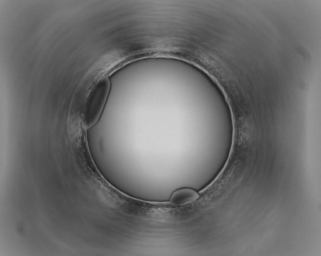 X0000115231169200911131637
