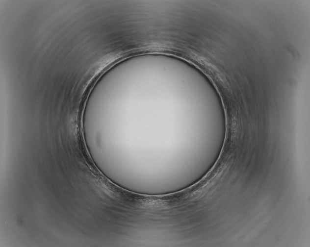 X0000115231170200911131637