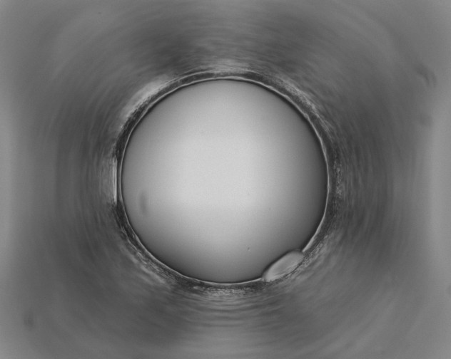 X0000115231171200911131637