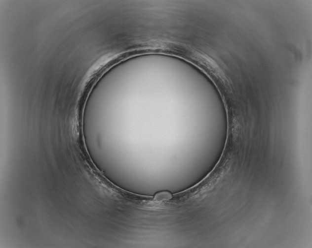 X0000115231172200911131637