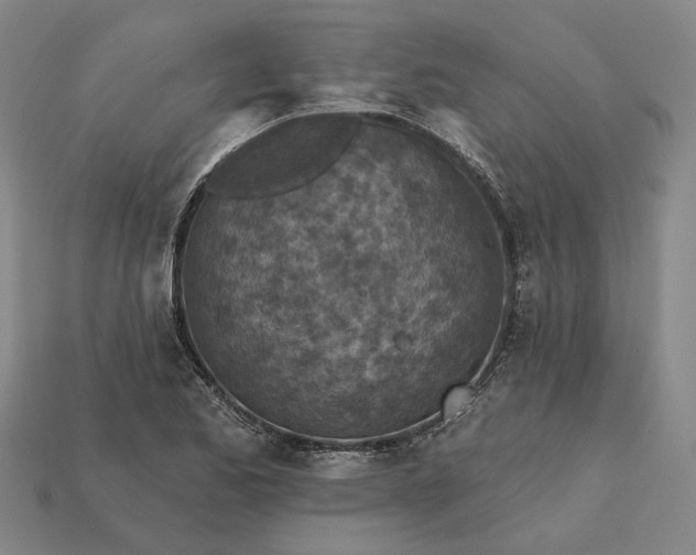X0000115231173200911131637