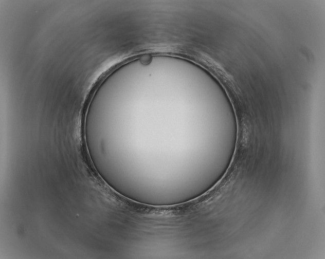 X0000115231174200911131637
