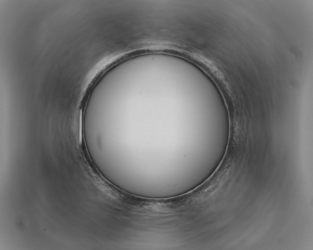 X0000115231175200911131637