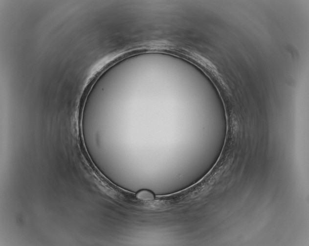 X0000115231176200911131637