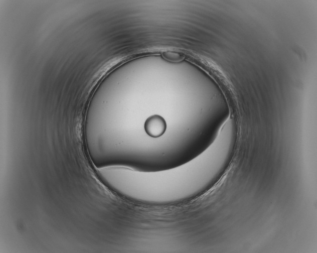 X0000115231177200911131637
