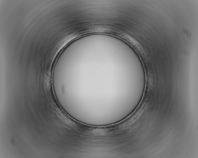 X0000115231178200911131637
