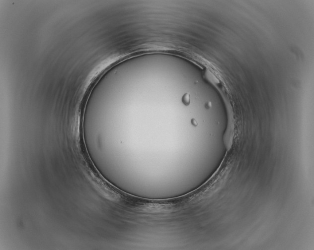 X0000115231179200911131637