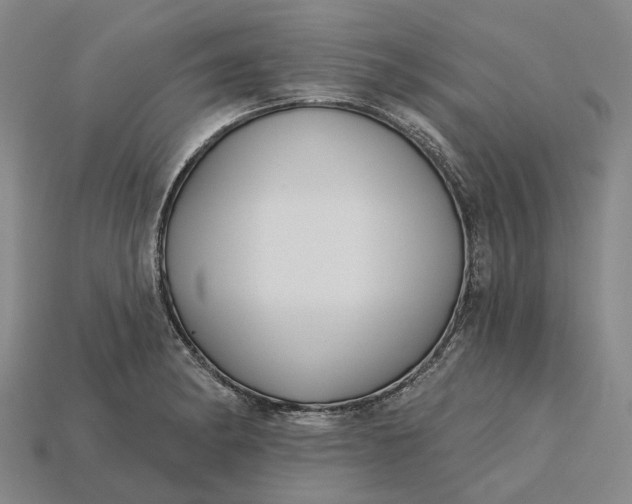 X0000115231182200911131637