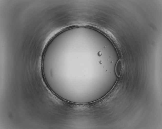X0000115231183200911131637