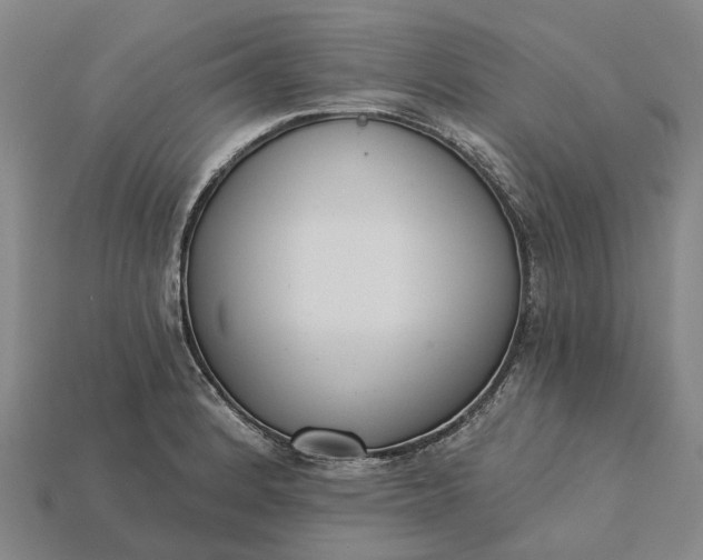 X0000115231184200911131637