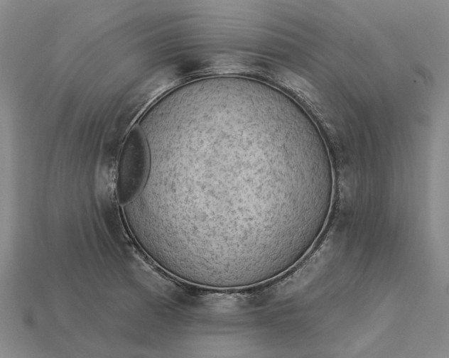 X0000115231185200911131637