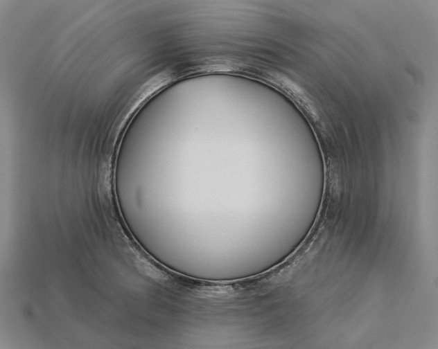 X0000115231186200911131637