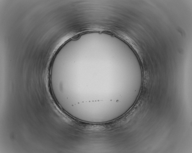 X0000115231187200911131637