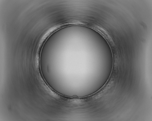 X0000115231188200911131637