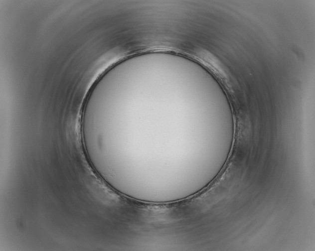 X0000115231190200911131637