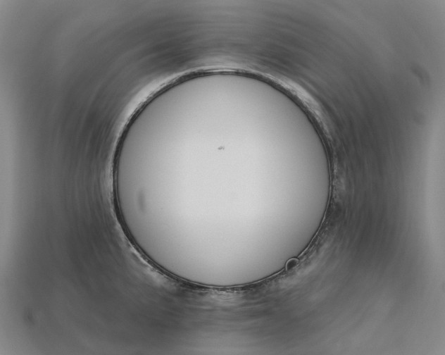 X0000115231191200911131637