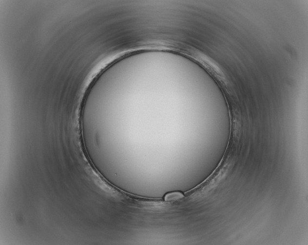 X0000115231192200911131637