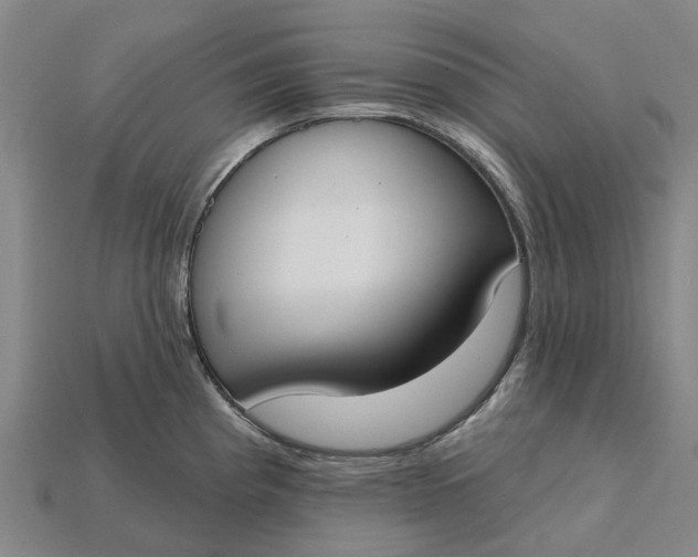 X0000115231193200911131637