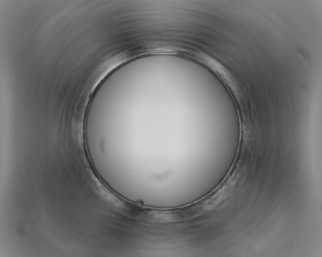 X0000115231194200911131637