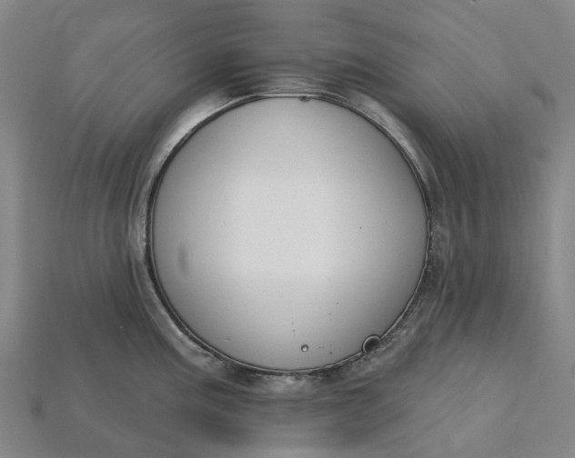 X0000115231195200911131637