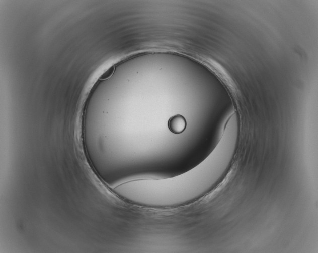X0000115231196200911131637