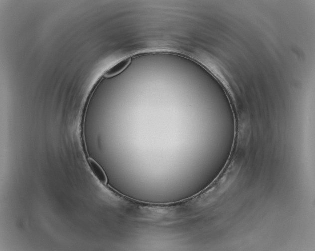 X0000115231197200911131637