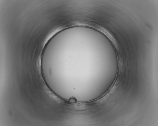 X0000115231198200911131637