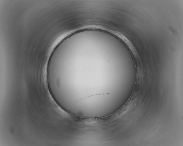 X0000115231199200911131637