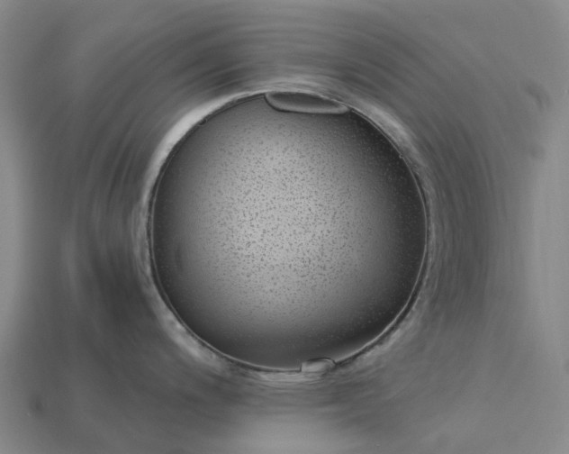 X0000115231200200911131637