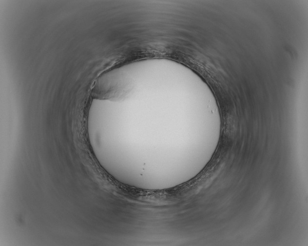 X0000115231201200911131636