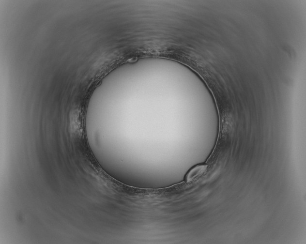 X0000115231202200911131636