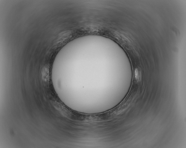 X0000115231203200911131636