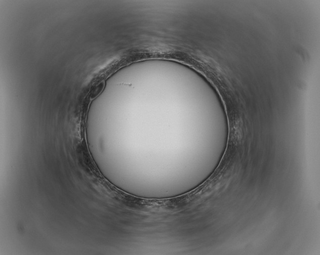 X0000115231205200911131636