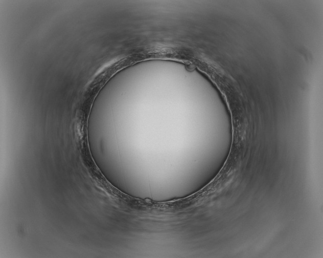 X0000115231206200911131636