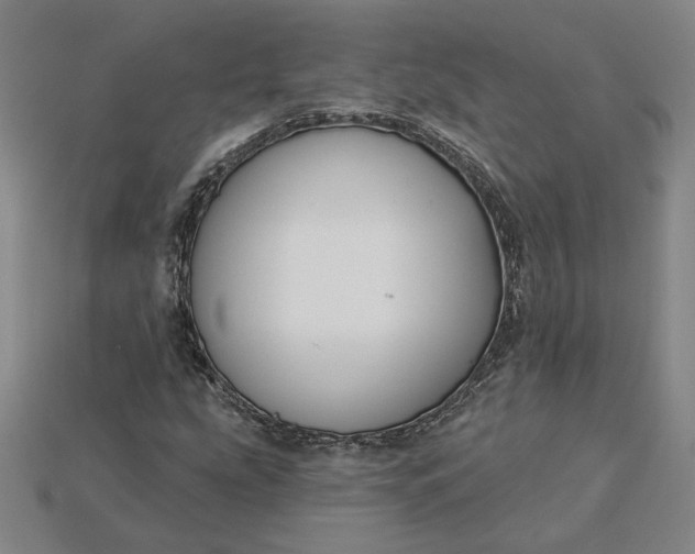 X0000115231207200911131636