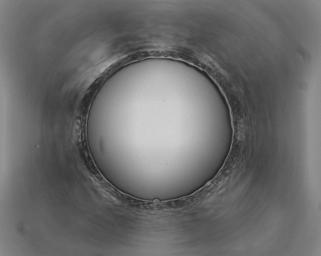 X0000115231208200911131637