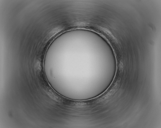 X0000115231209200911131637