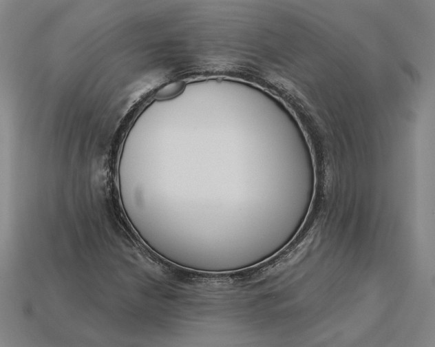 X0000115231210200911131637