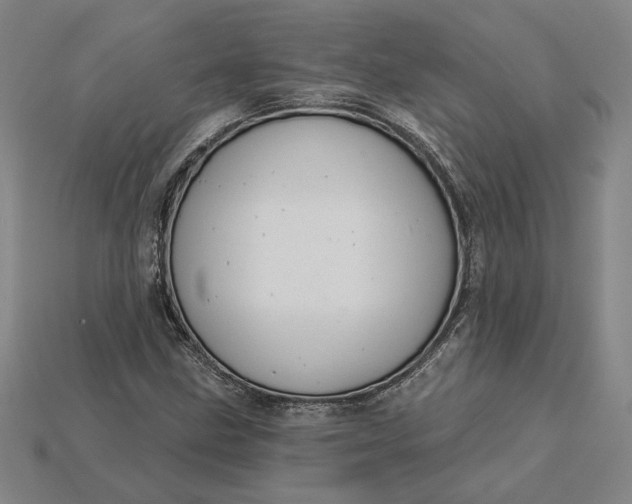 X0000115231211200911131637