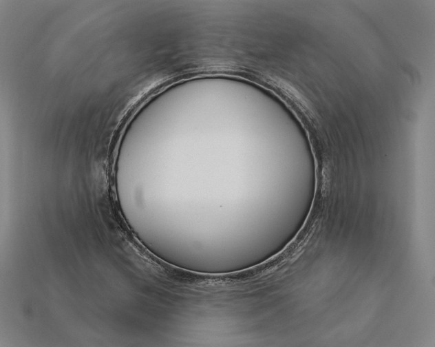 X0000115231212200911131637