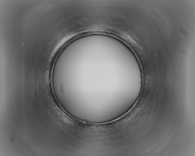 X0000115231216200911131637