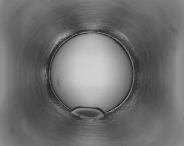 X0000115231218200911131637