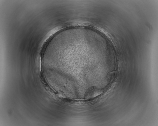 X0000115231219200911131637