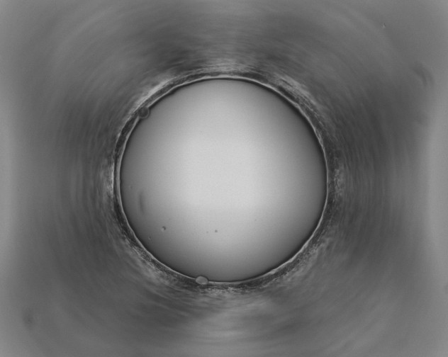 X0000115231220200911131637