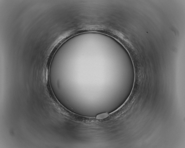 X0000115231221200911131637