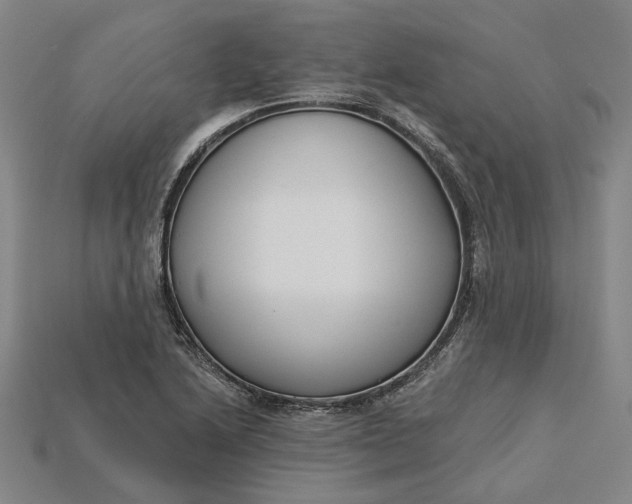 X0000115231222200911131637